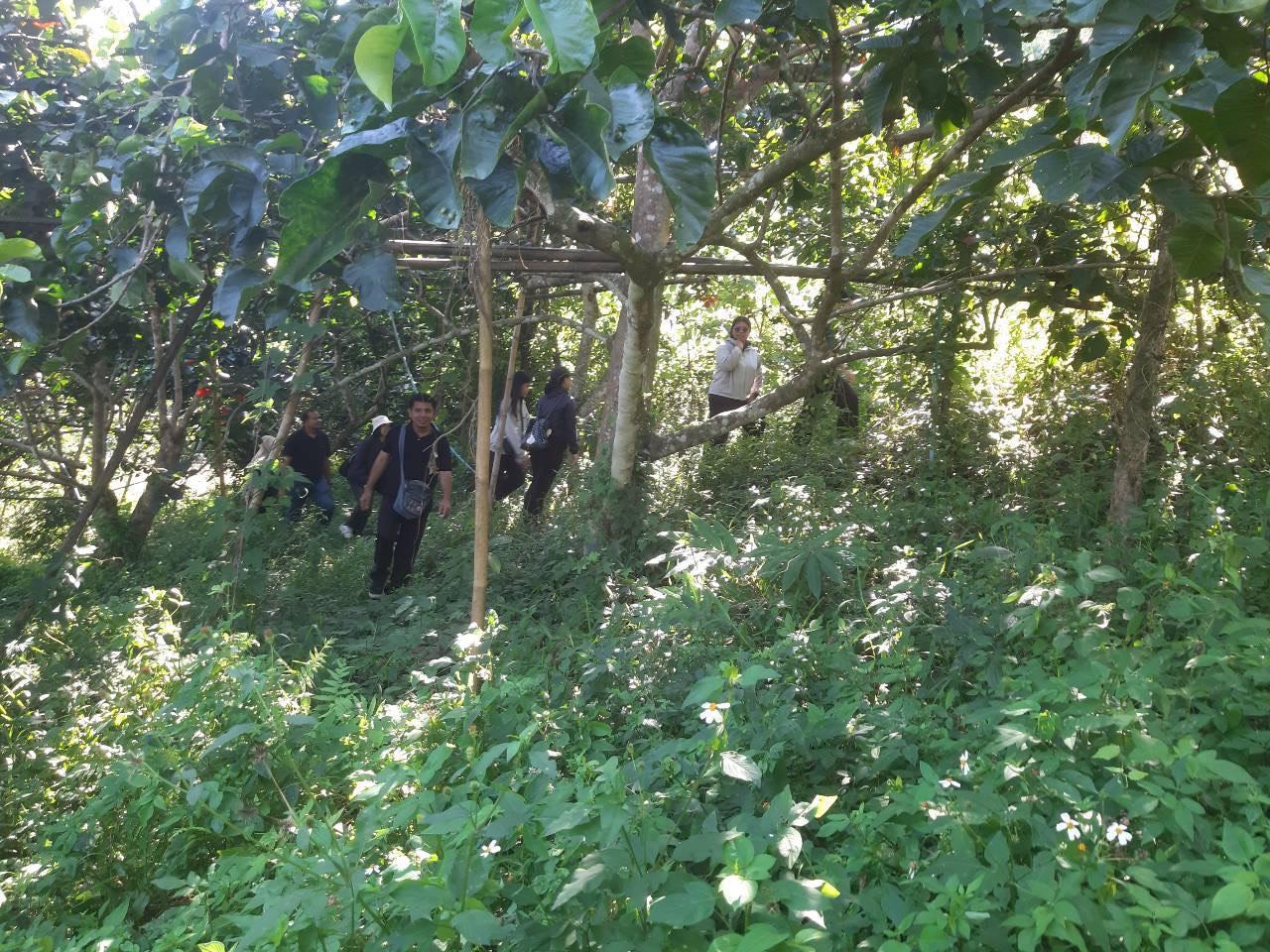 ภาพประกอบที่ 3