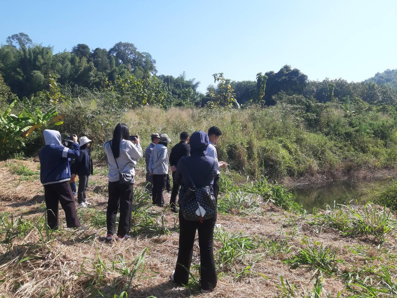 ภาพประกอบที่ 4