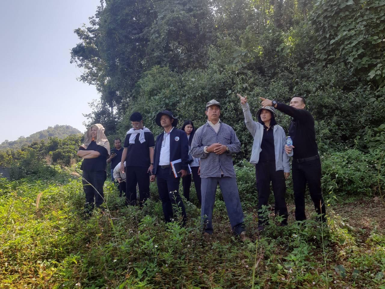 ภาพประกอบที่ 5