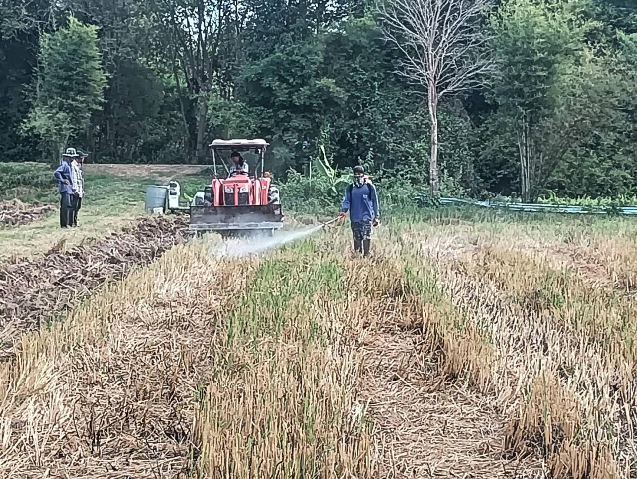 ภาพประกอบที่ 0