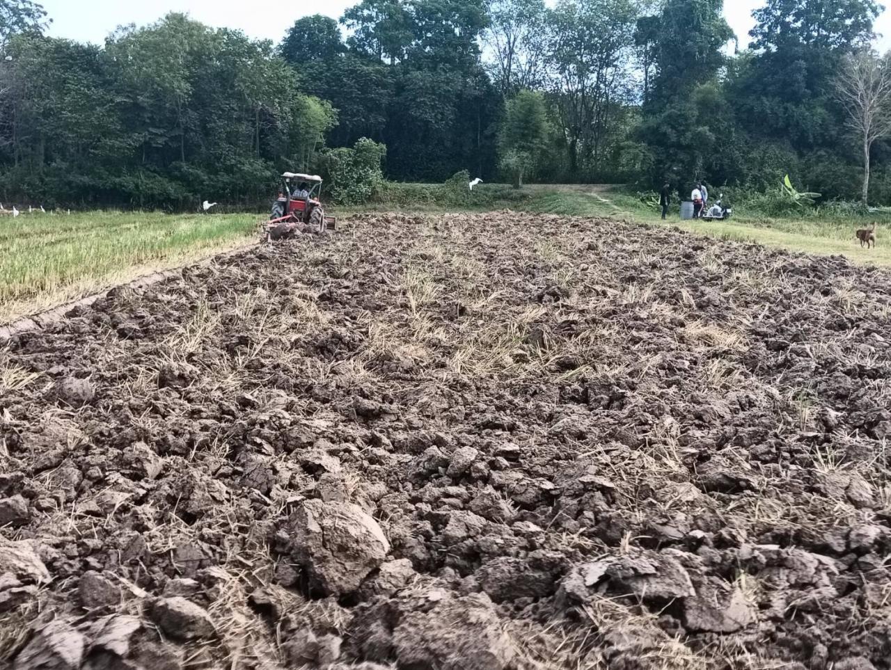 ภาพประกอบที่ 1