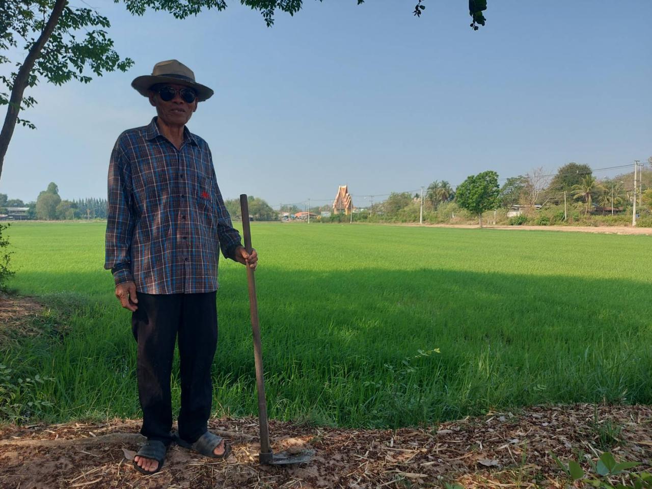 ภาพประกอบที่ 1