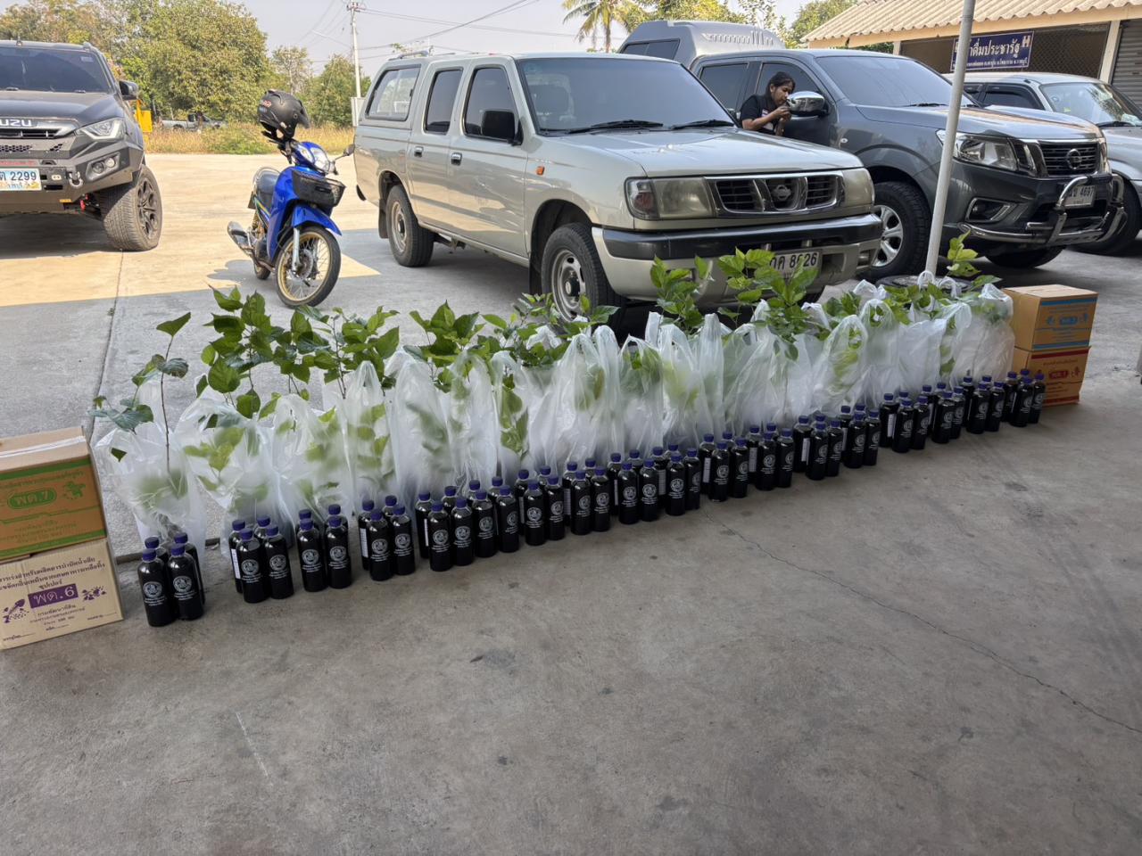 ภาพประกอบที่ 0