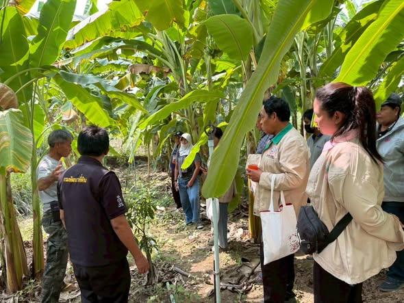 ภาพประกอบที่ 1