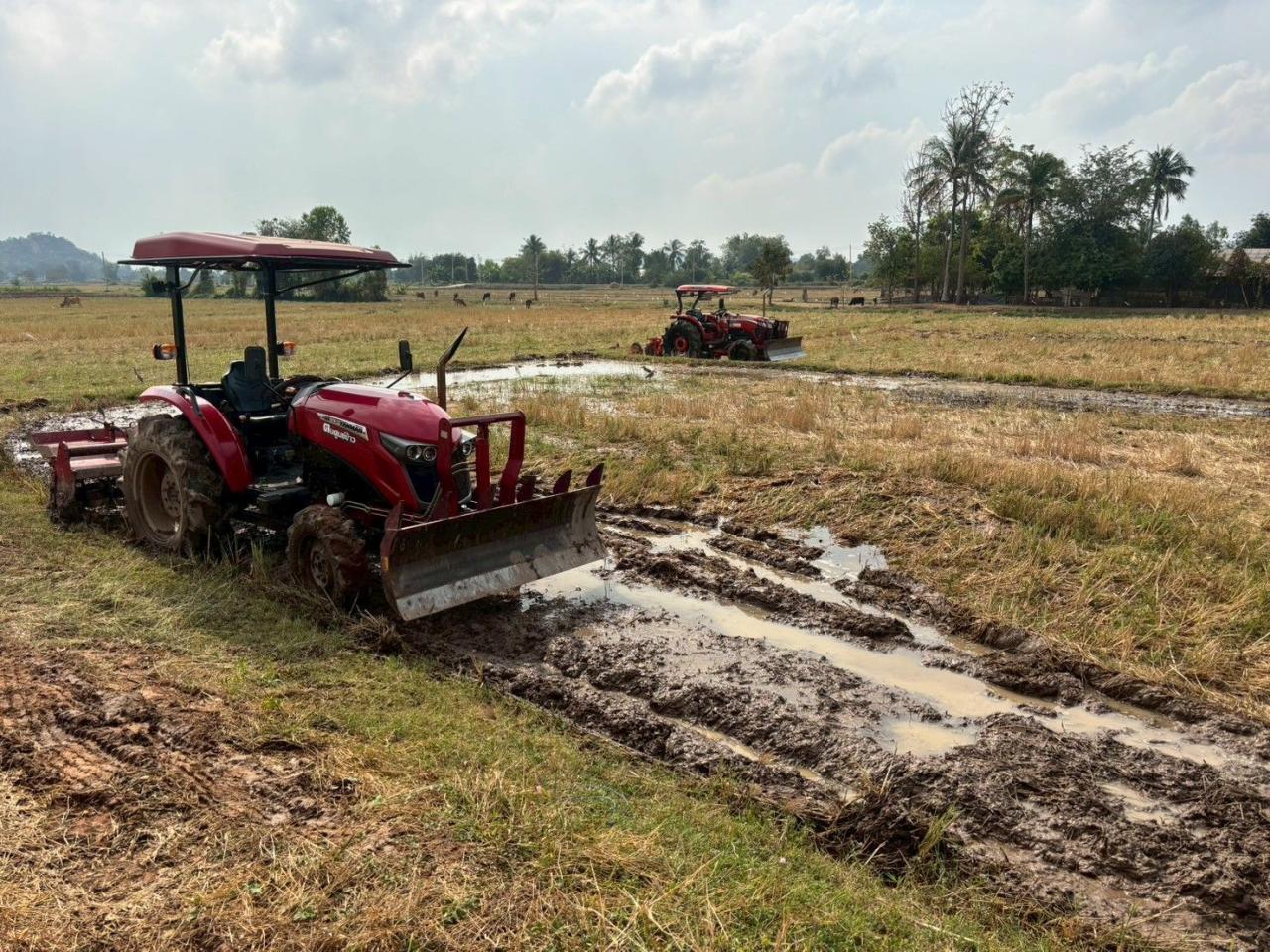 ภาพประกอบที่ 7