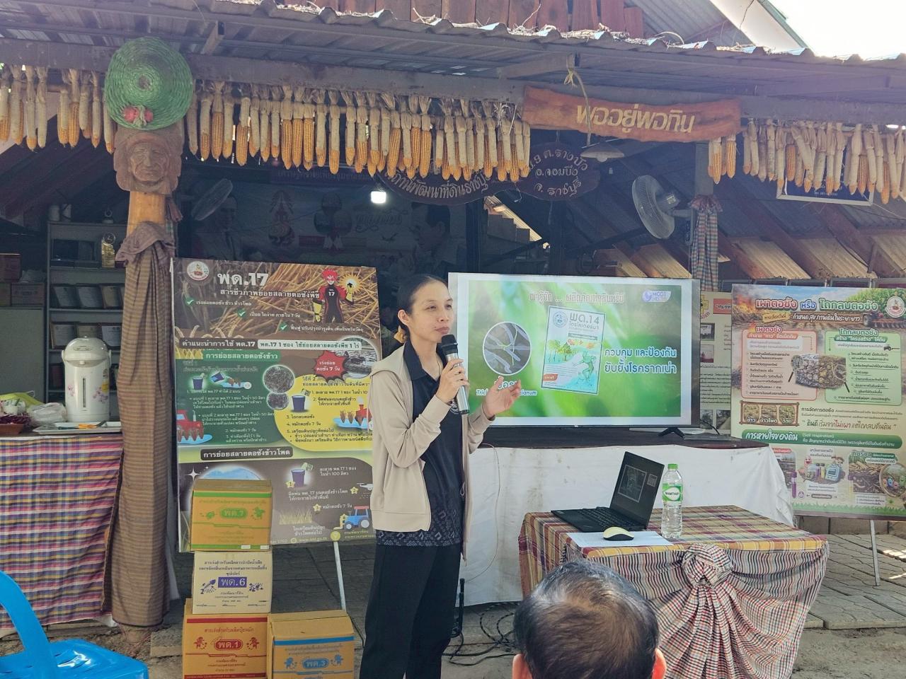 ภาพประกอบที่ 3