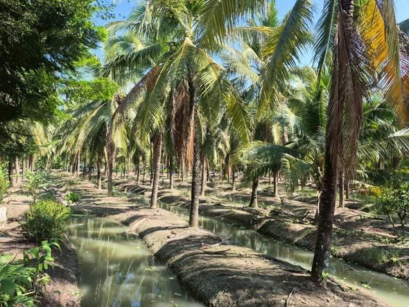 ภาพประกอบที่ 4