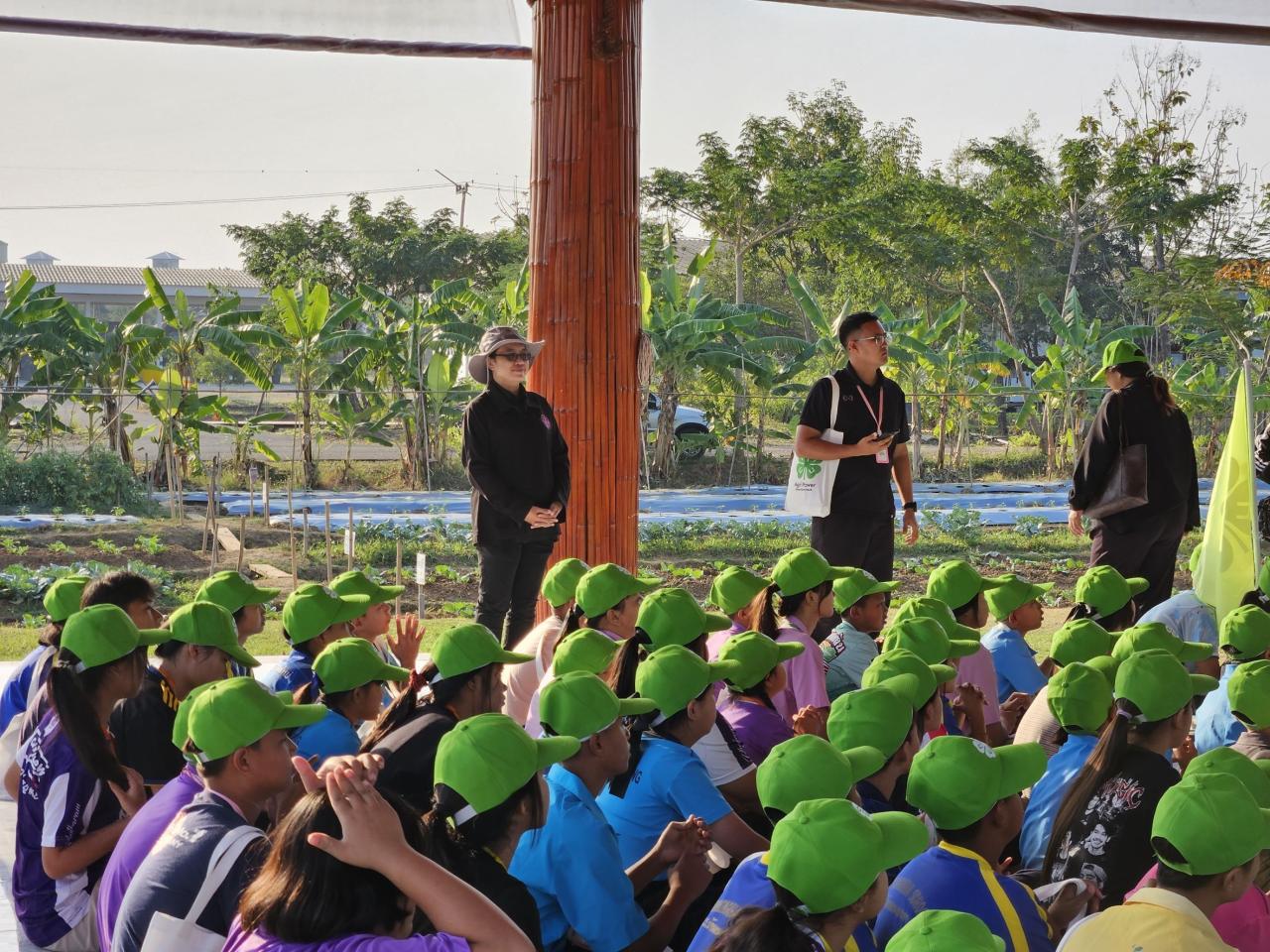 ภาพประกอบที่ 3