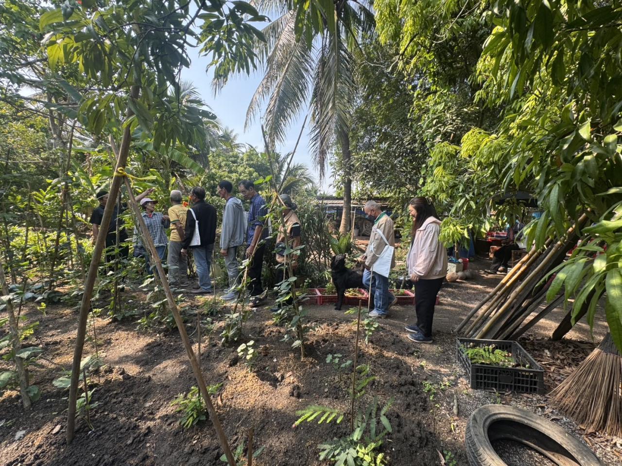 ภาพประกอบที่ 2