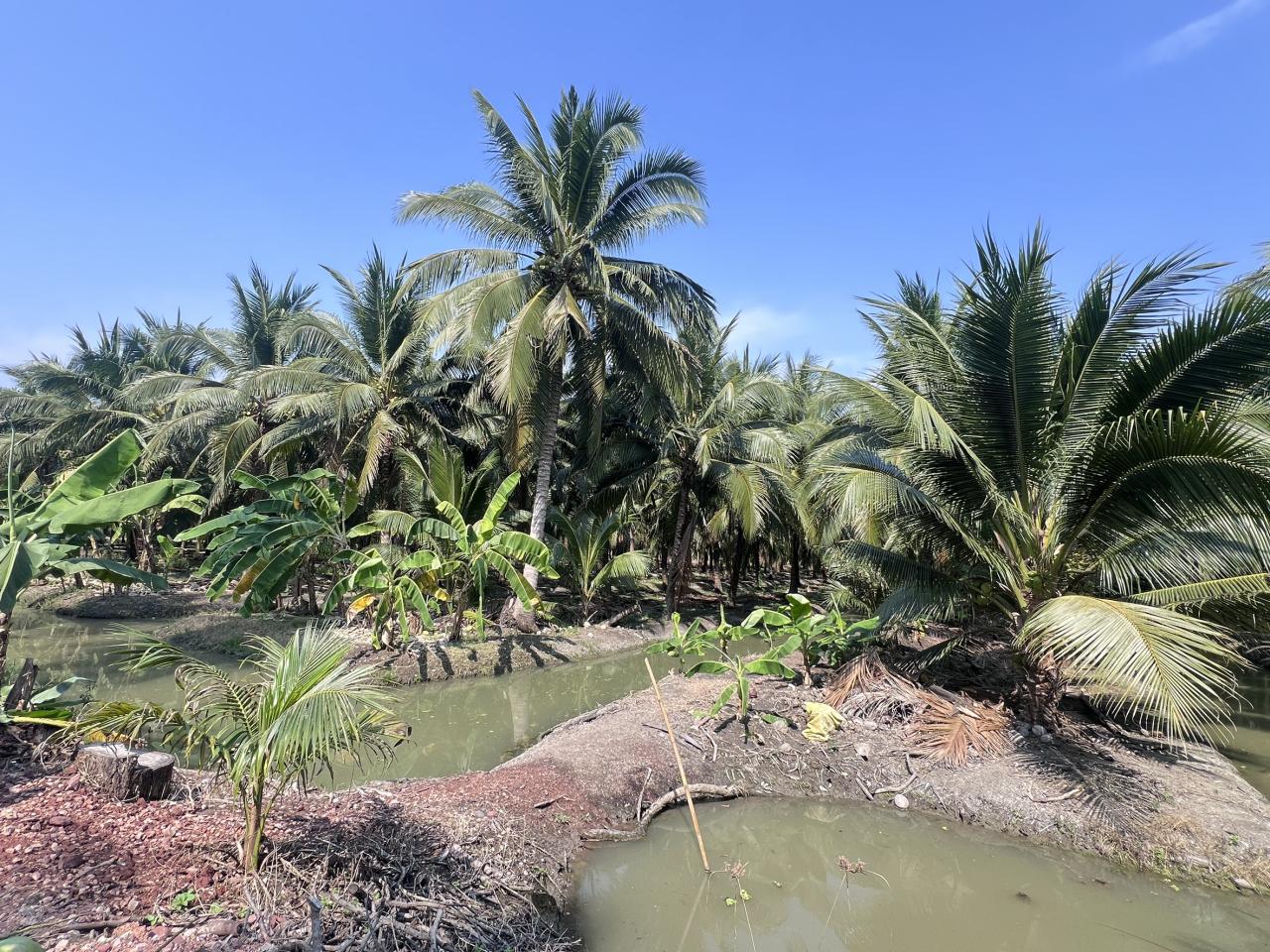 ภาพประกอบที่ 5