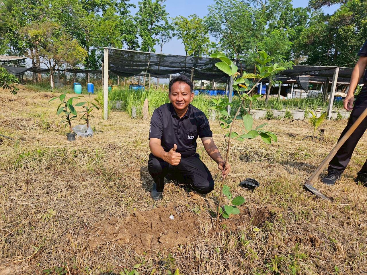 ภาพประกอบที่ 4