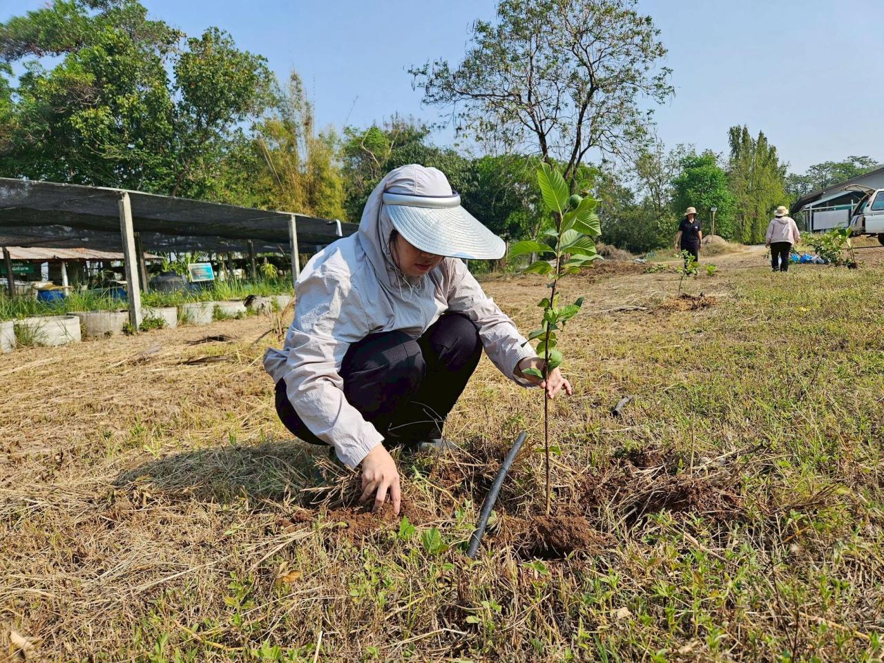 ภาพประกอบที่ 5