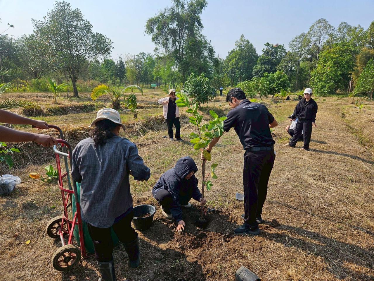 ภาพประกอบที่ 7
