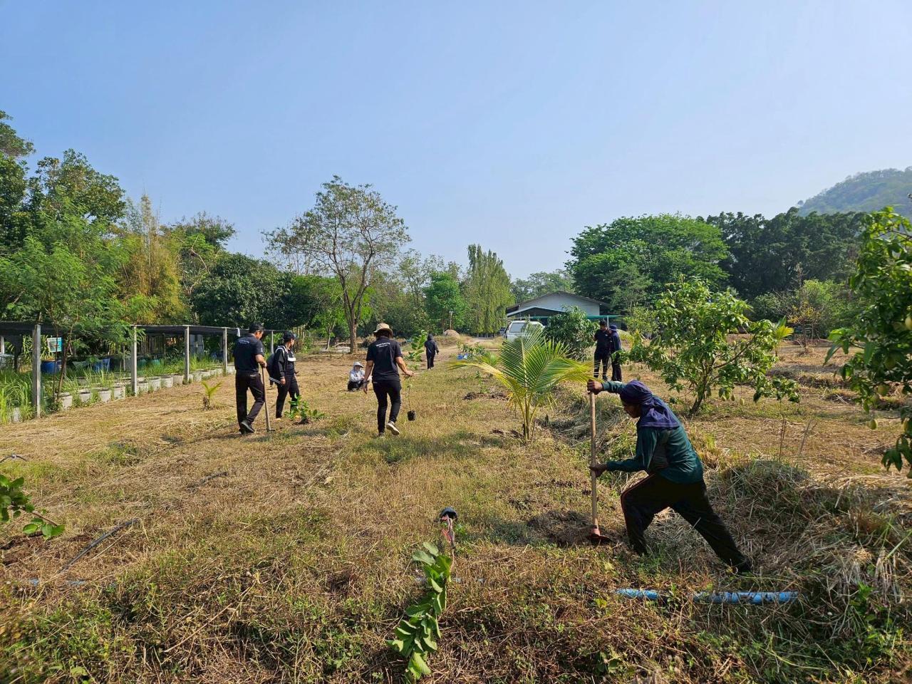 ภาพประกอบที่ 8