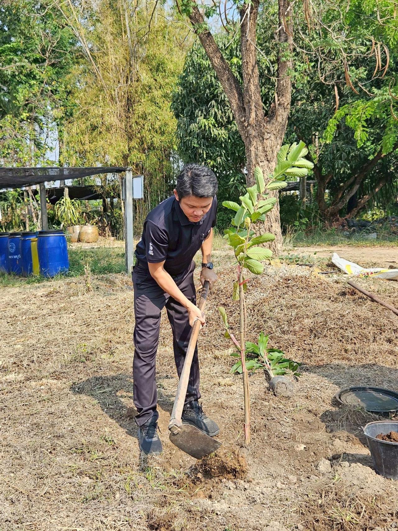 ภาพประกอบที่ 10