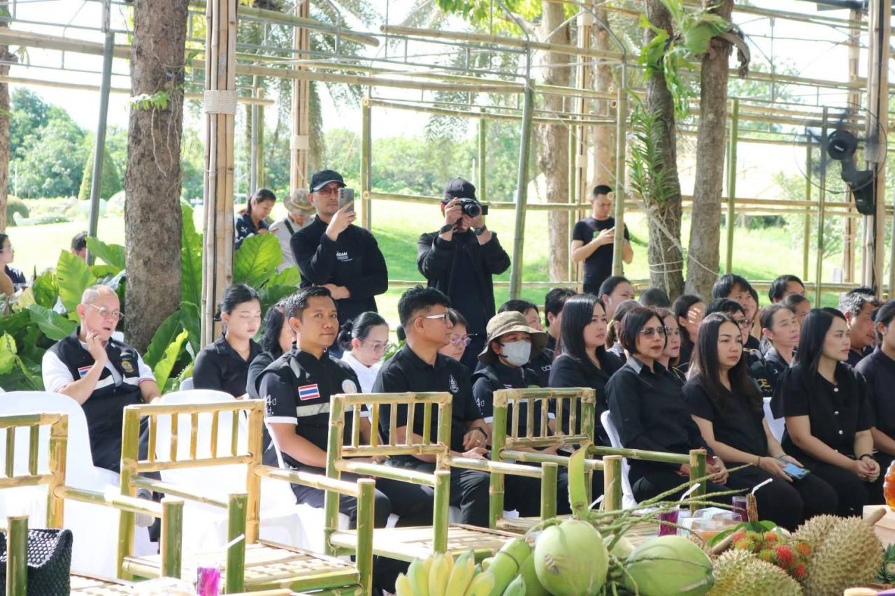 ภาพประกอบที่ 2