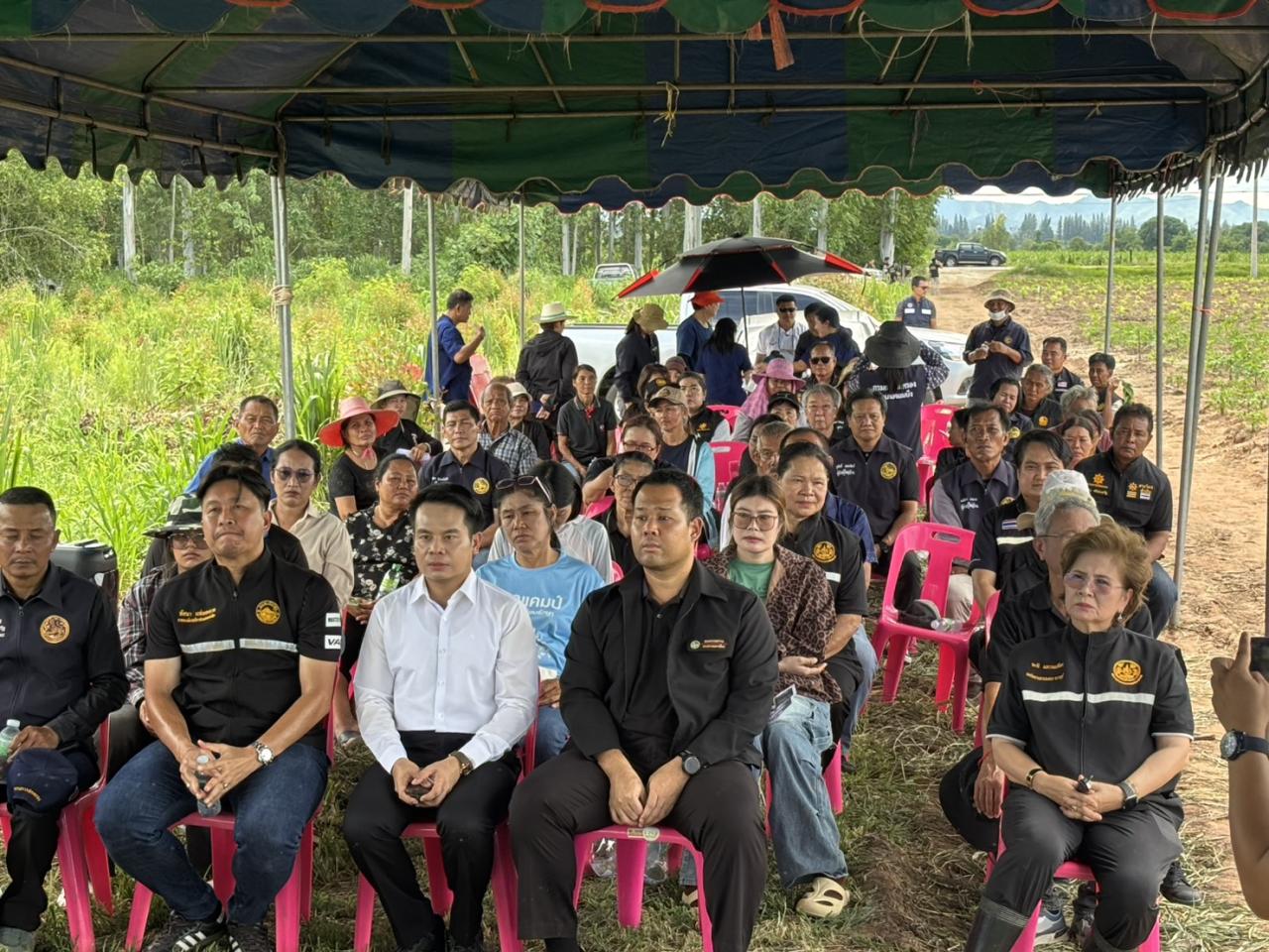 ภาพประกอบที่ 1