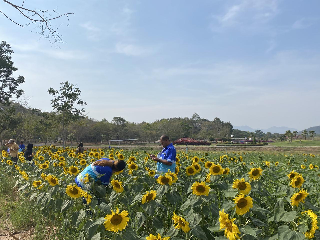 ภาพประกอบที่ 4