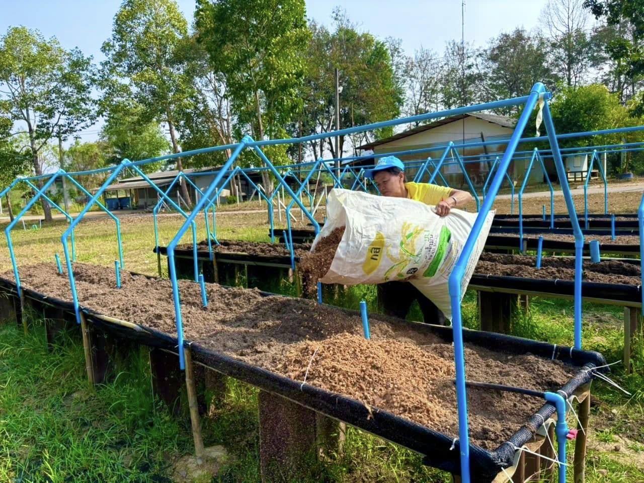 ภาพประกอบที่ 6