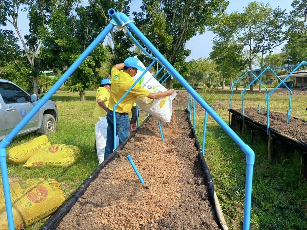 ภาพประกอบที่ 5