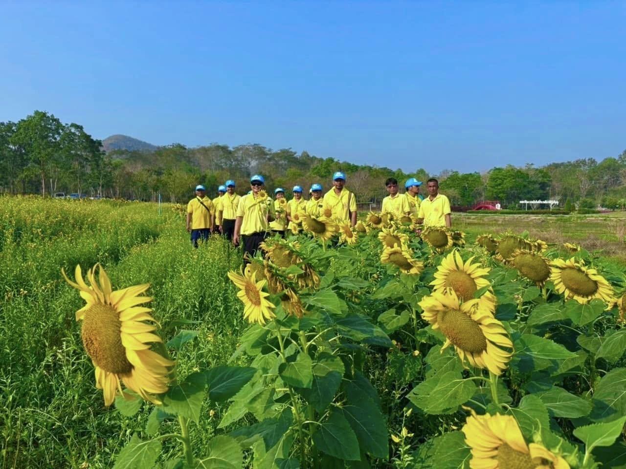 ภาพประกอบที่ 4