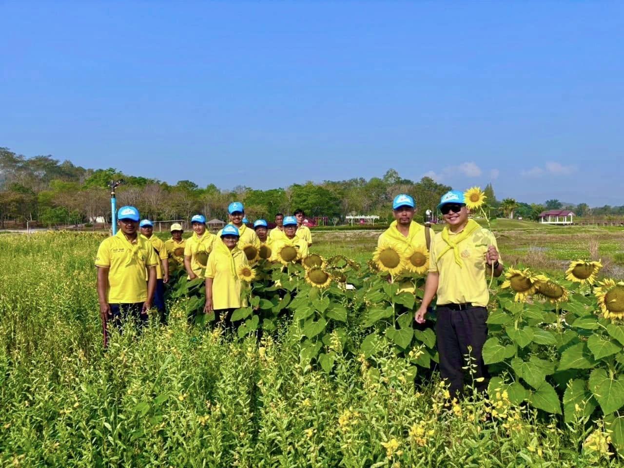 ภาพประกอบที่ 3