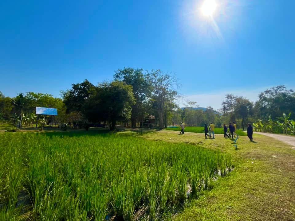ภาพประกอบที่ 1