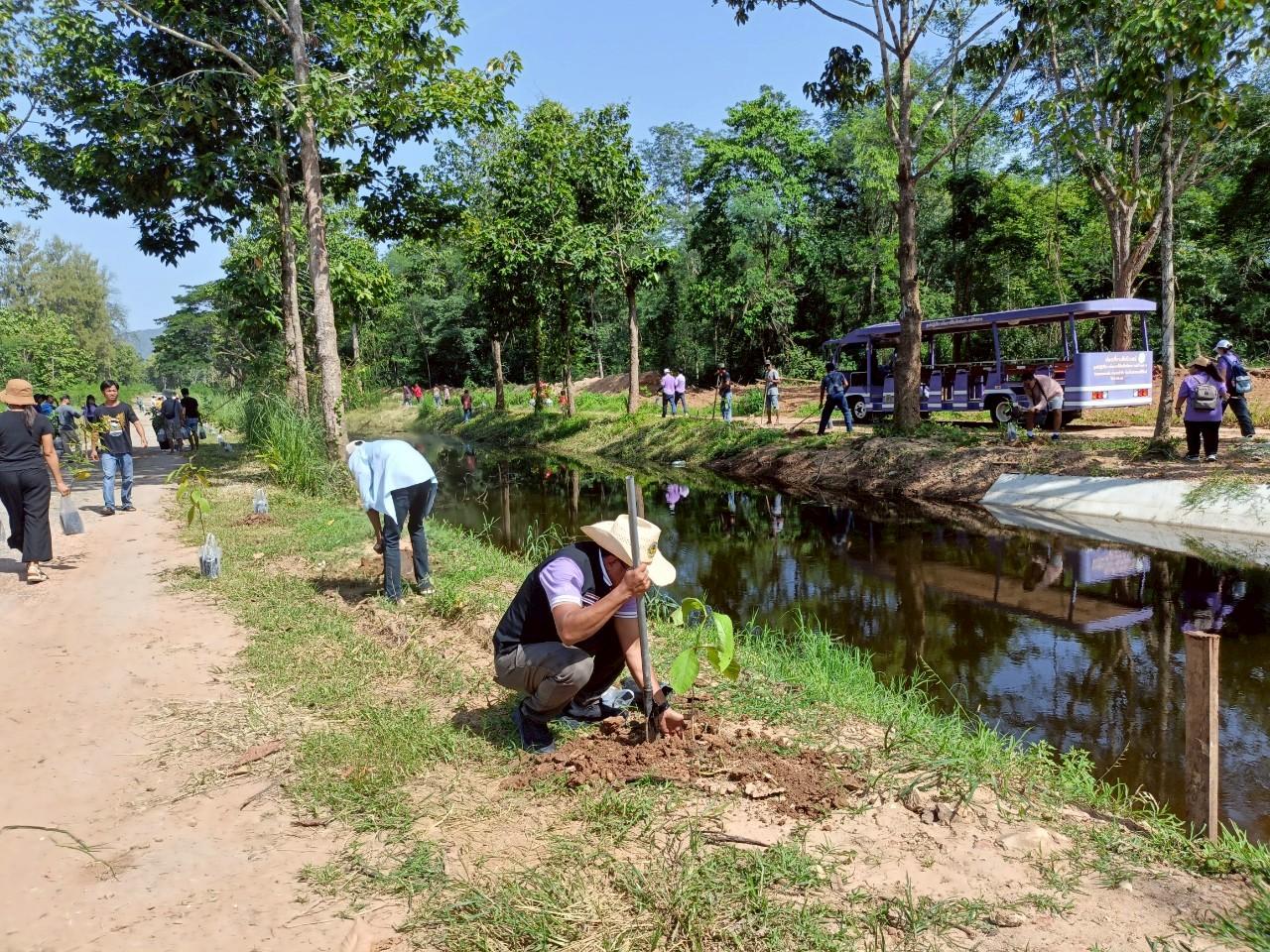 ภาพประกอบที่ 2