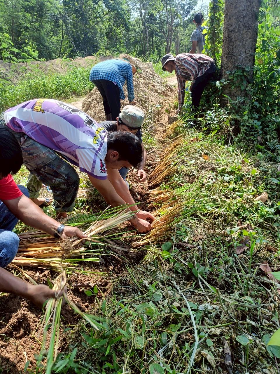 ภาพประกอบที่ 3