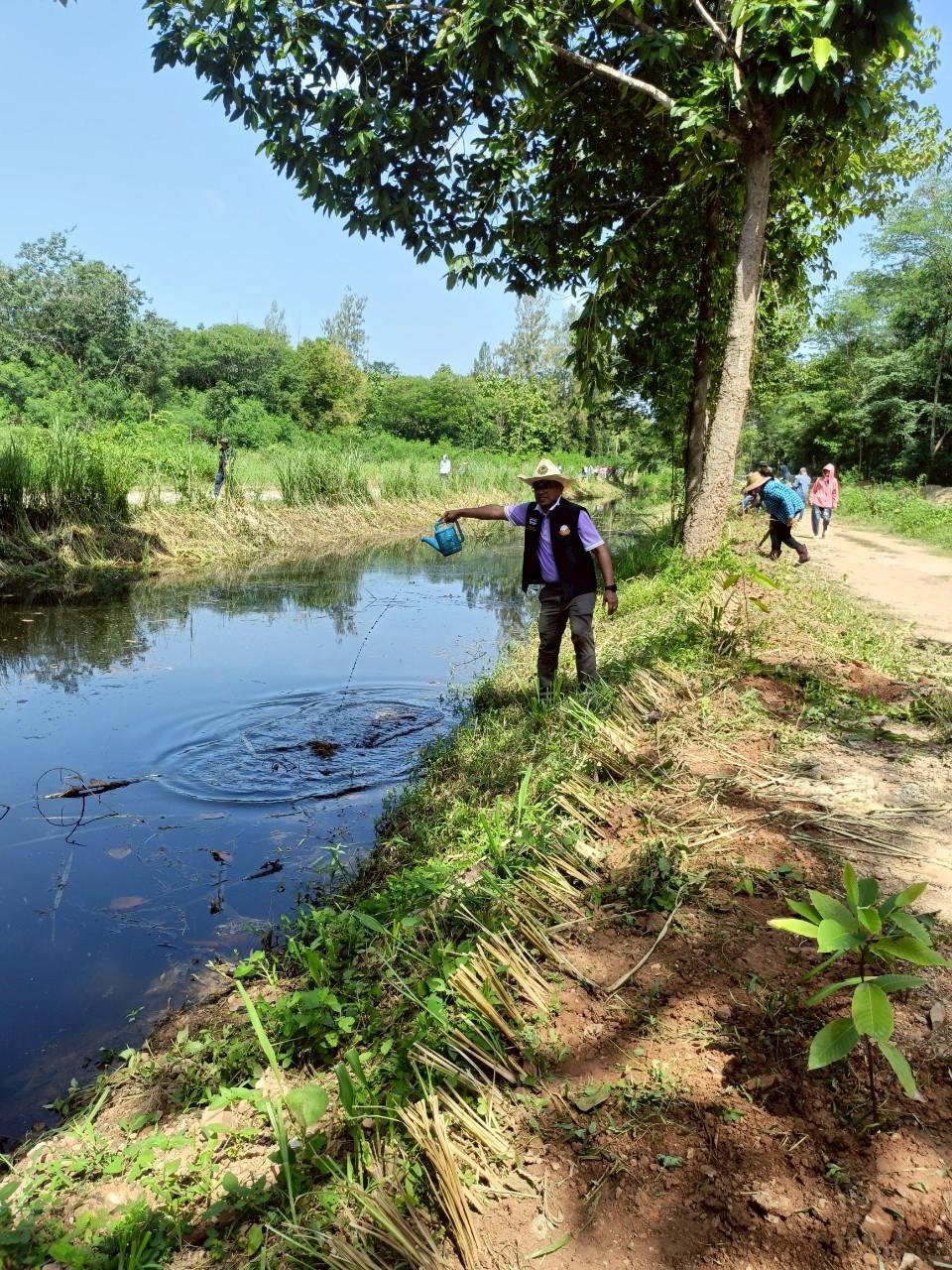 ภาพประกอบที่ 1