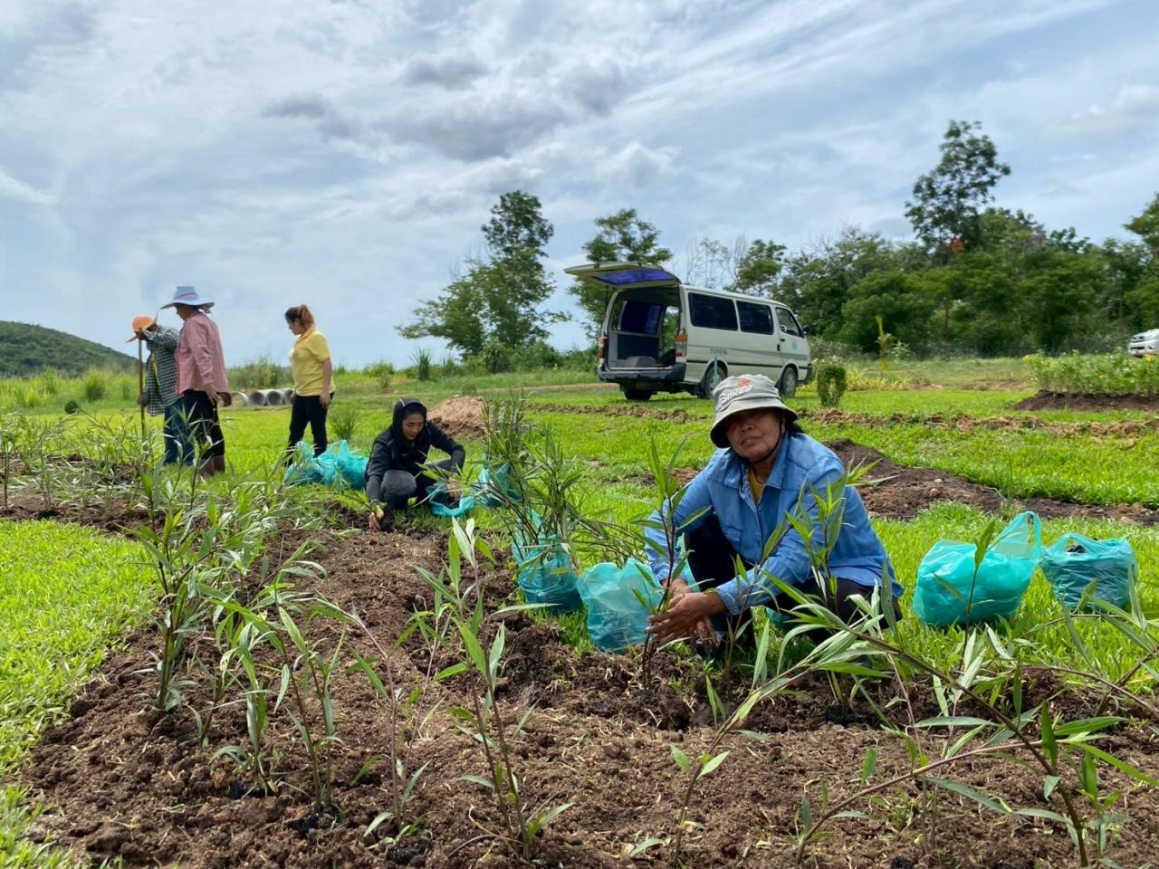 ภาพประกอบที่ 6