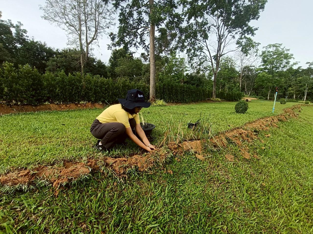ภาพประกอบที่ 5