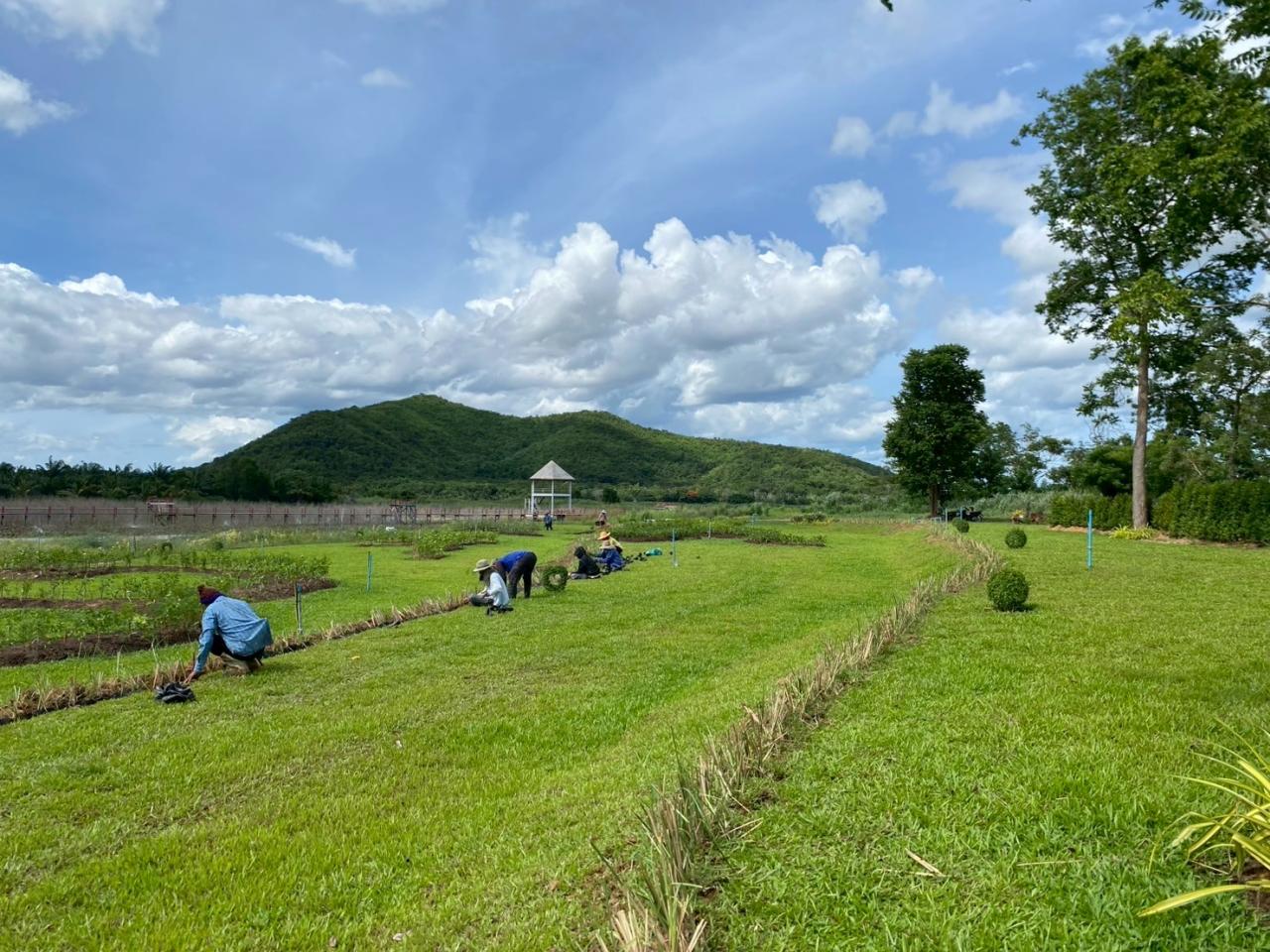 ภาพประกอบที่ 0
