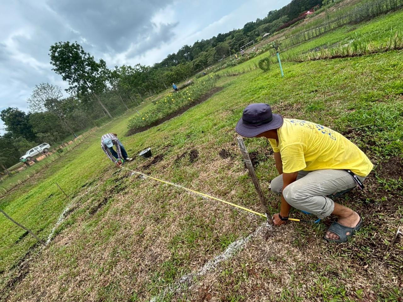 ภาพประกอบที่ 4