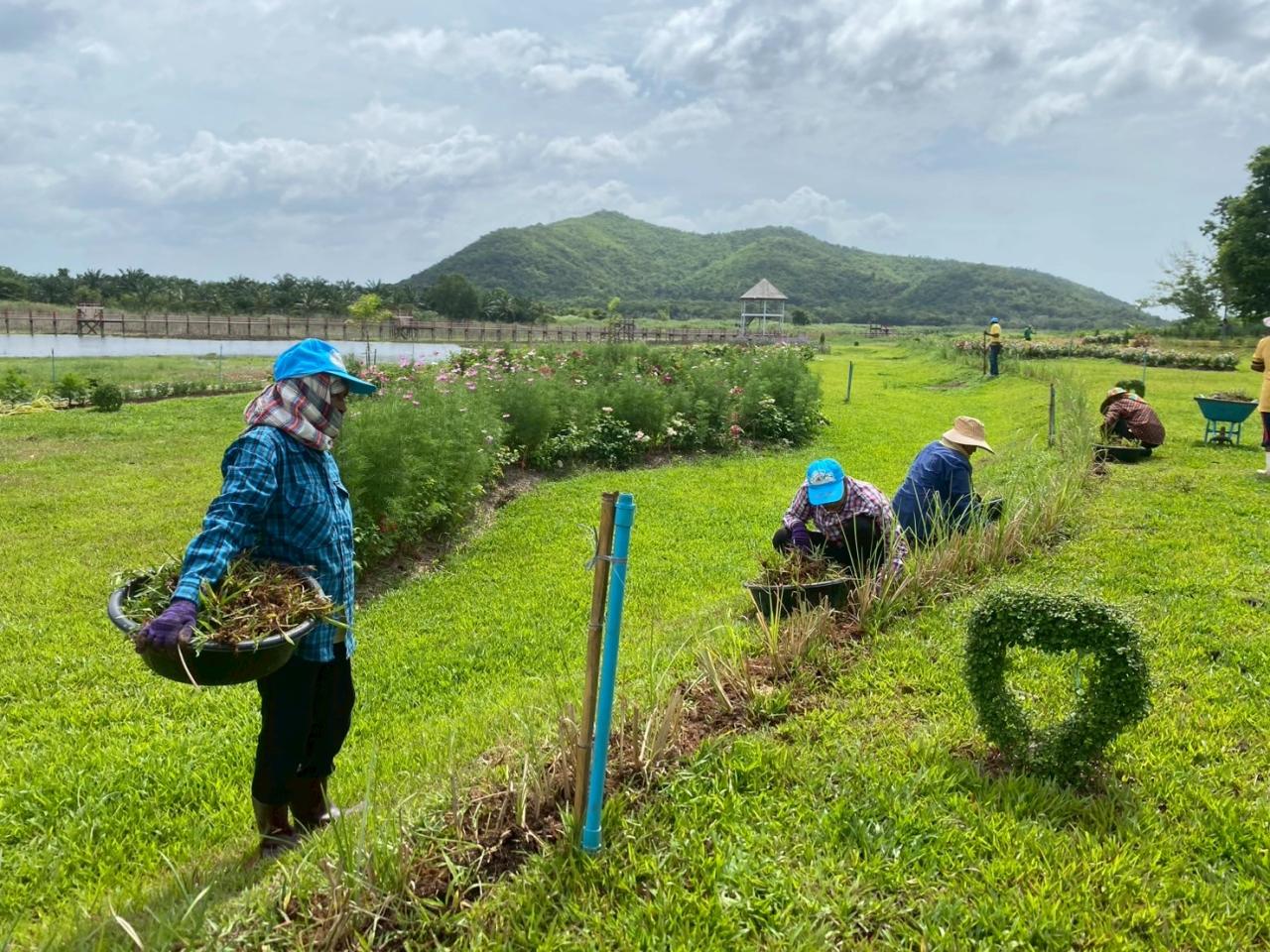 ภาพประกอบที่ 1