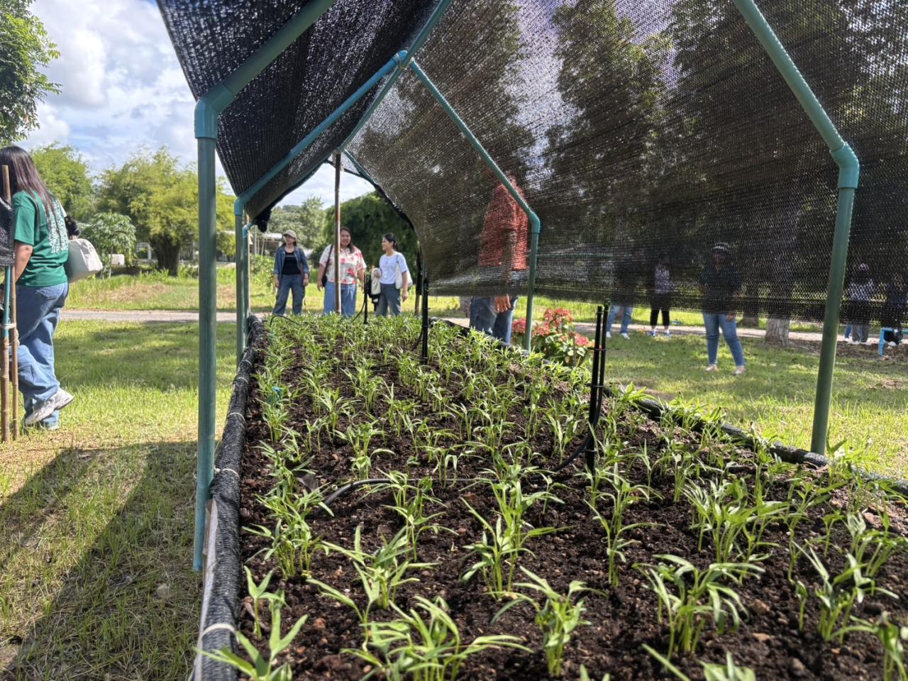 ภาพประกอบที่ 4