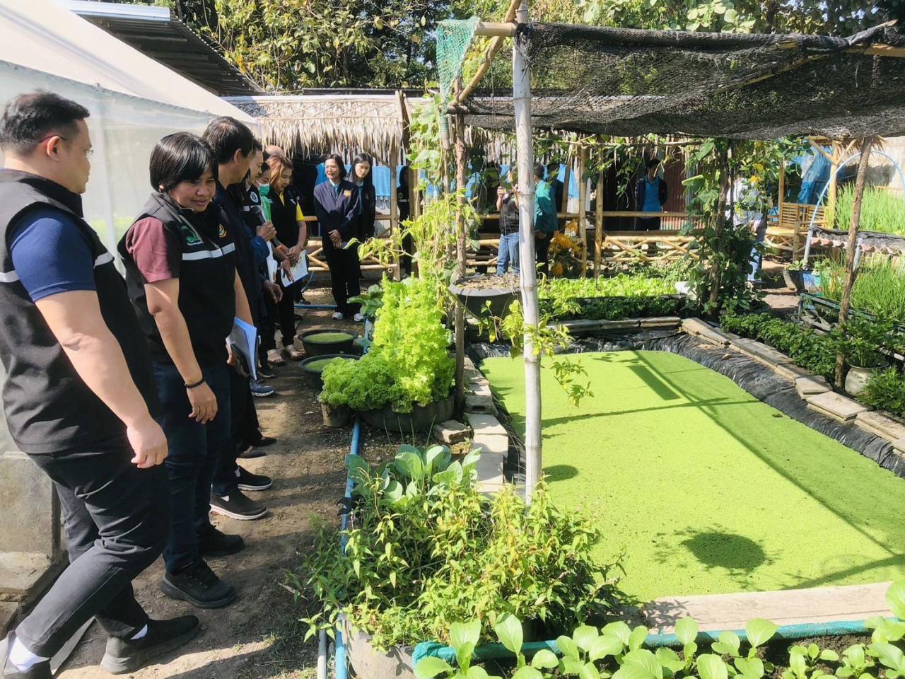 ภาพประกอบที่ 3