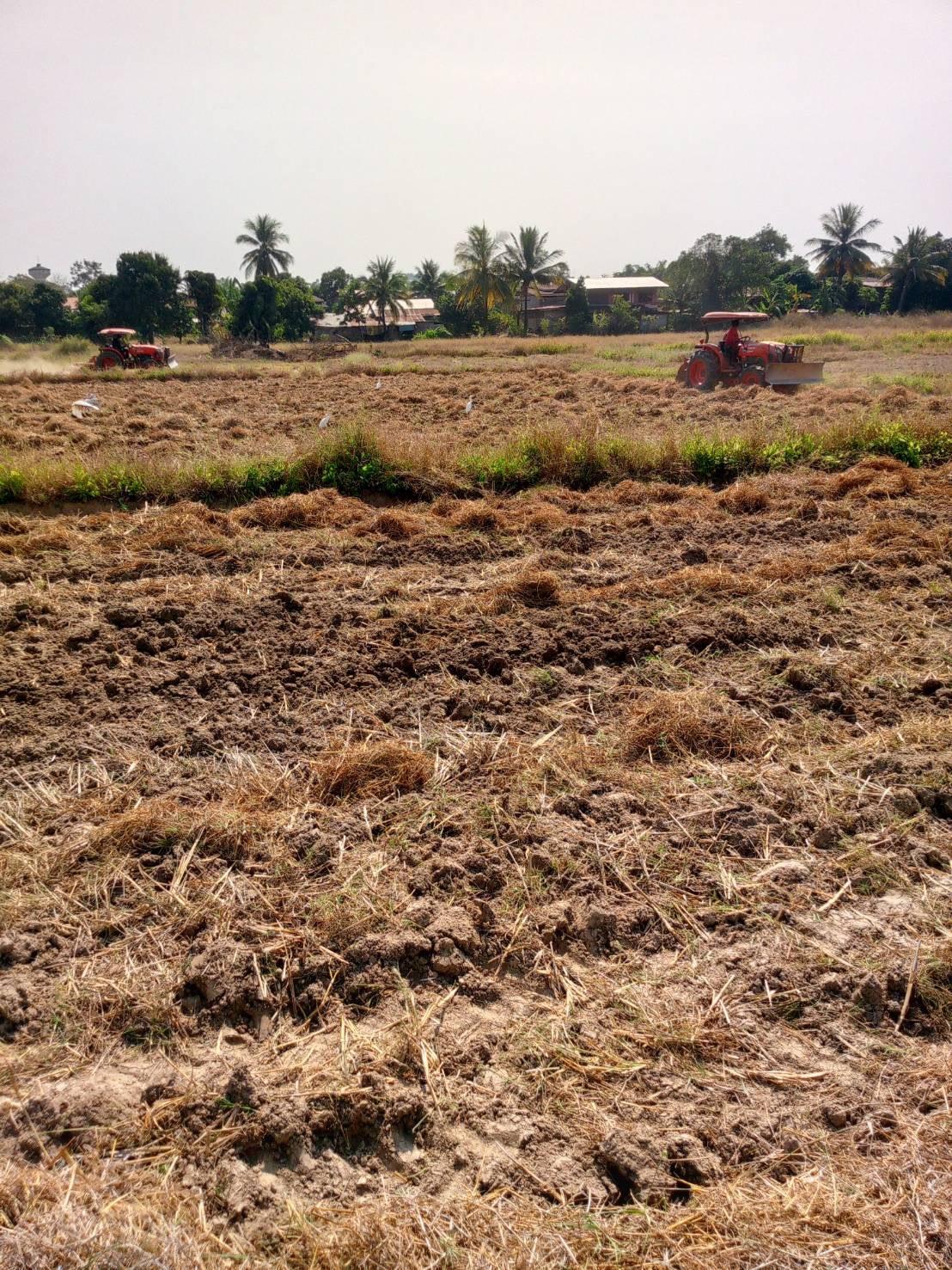 ภาพประกอบที่ 5