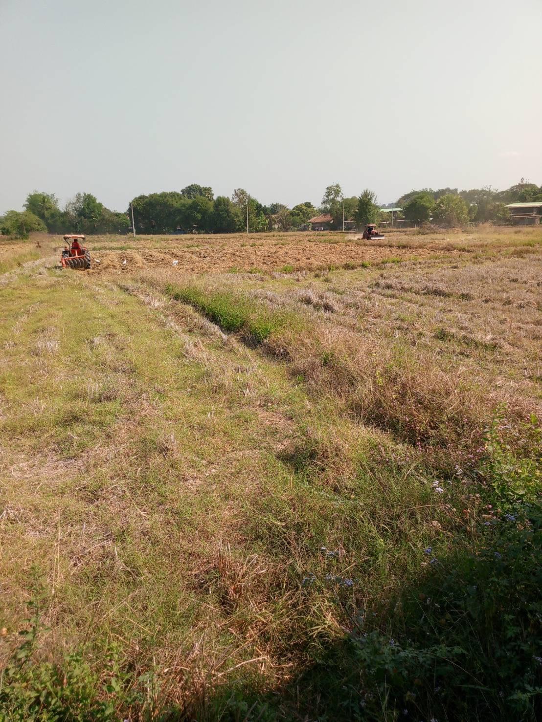 ภาพประกอบที่ 7