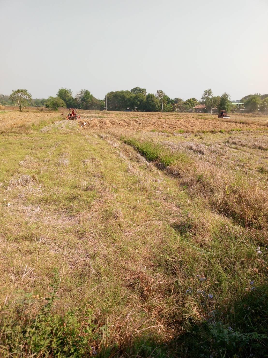 ภาพประกอบที่ 10