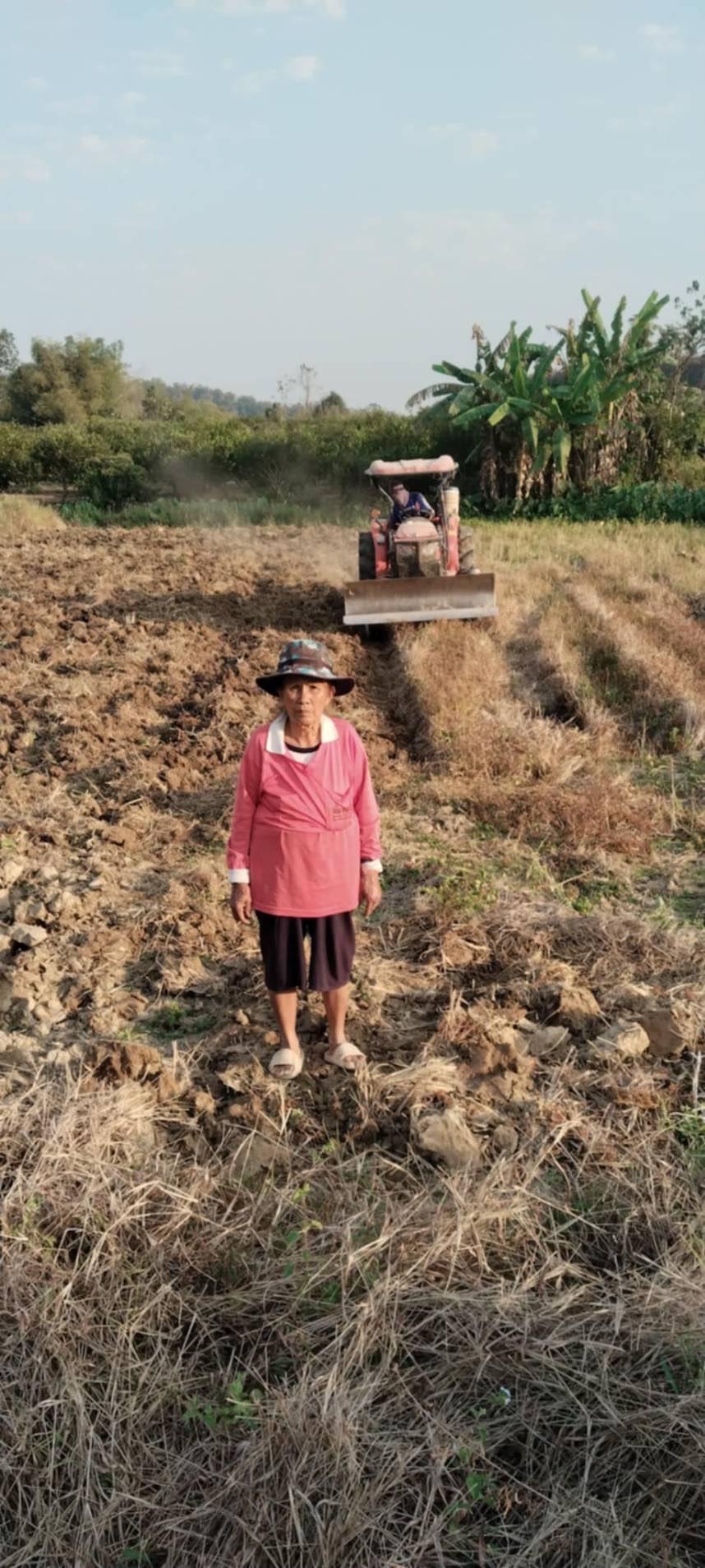 ภาพประกอบที่ 12