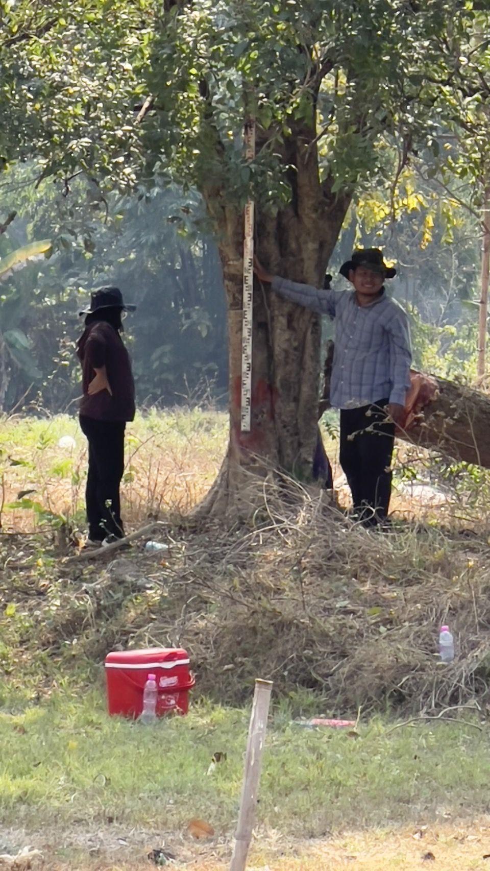 ภาพประกอบที่ 7