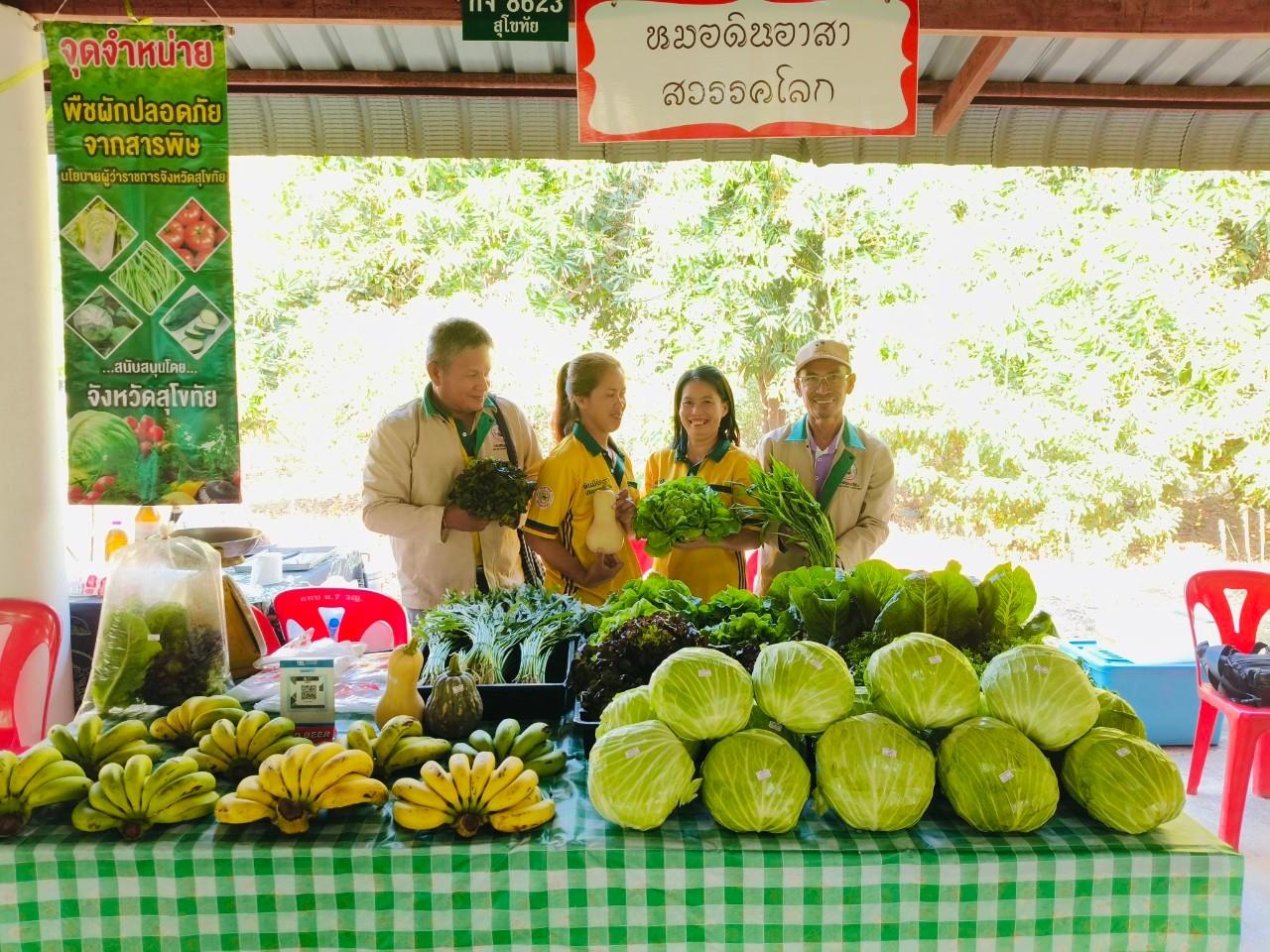 ภาพประกอบที่ 11