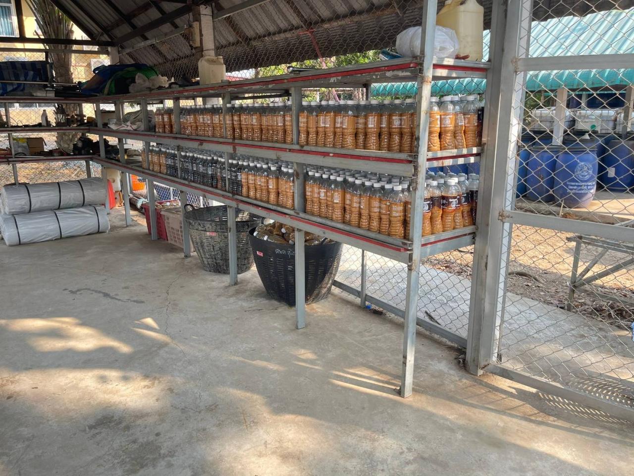 ภาพประกอบที่ 10