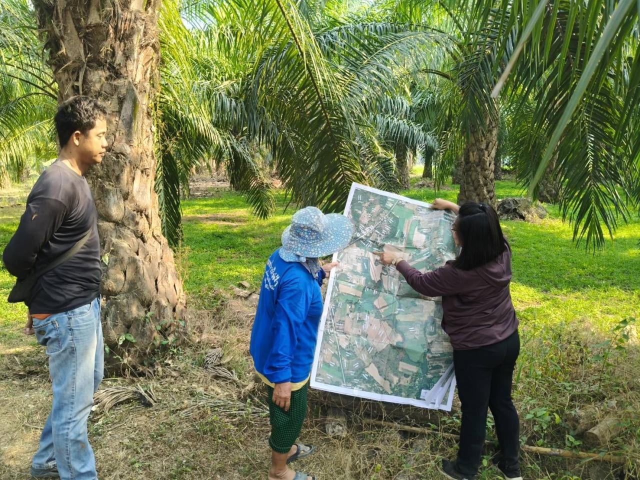 ภาพประกอบที่ 5