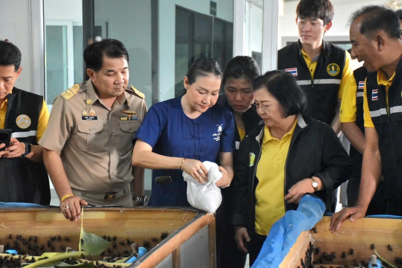 ภาพประกอบที่ 3