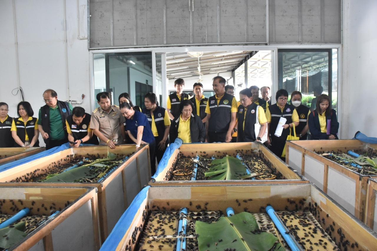 ภาพประกอบที่ 4