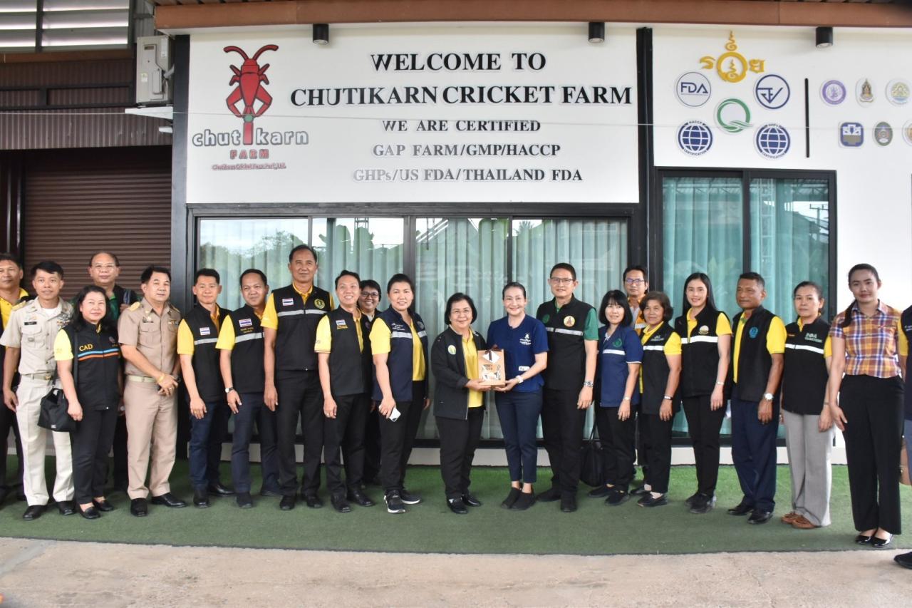 ภาพประกอบที่ 7