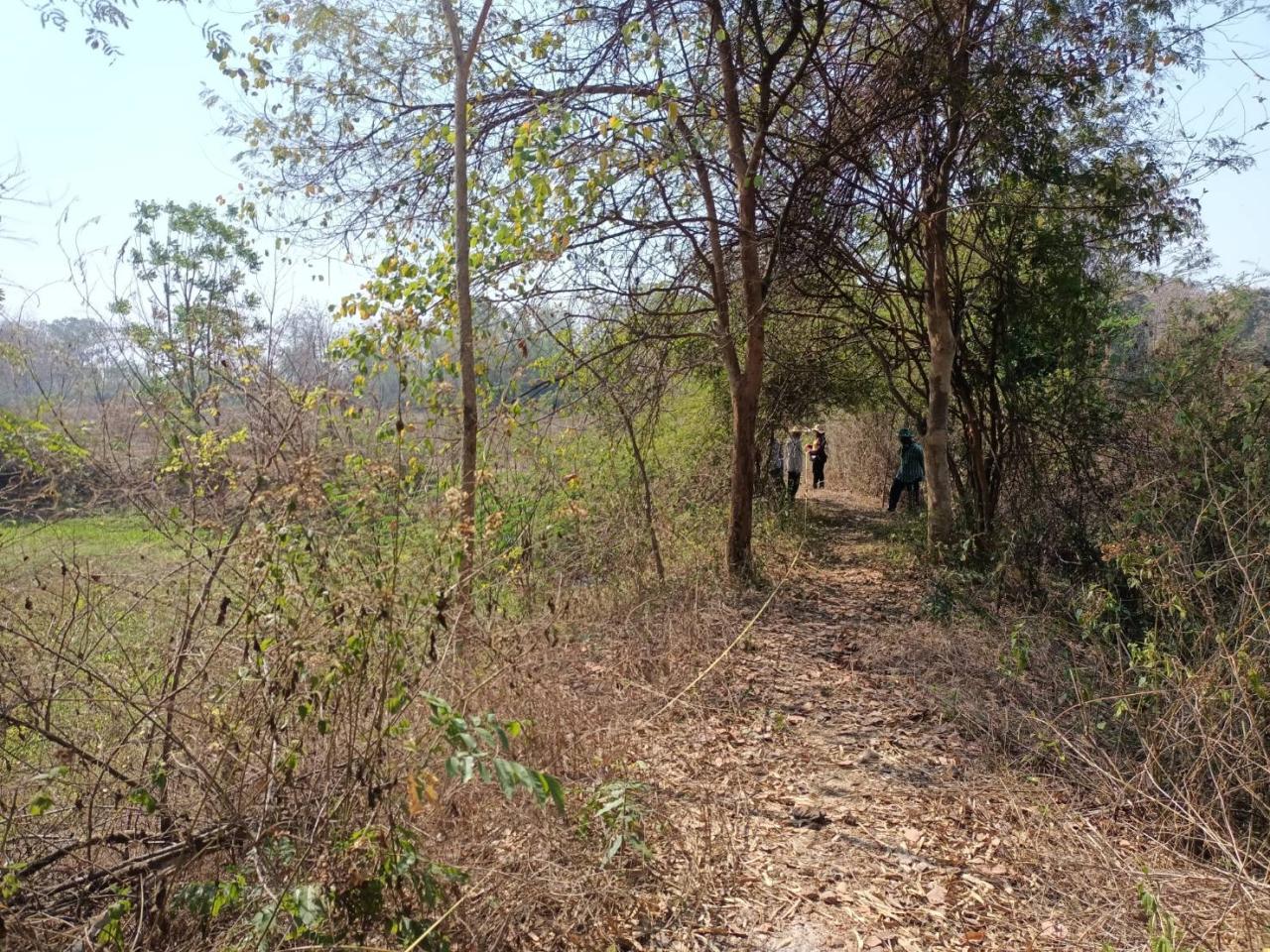 ภาพประกอบที่ 8