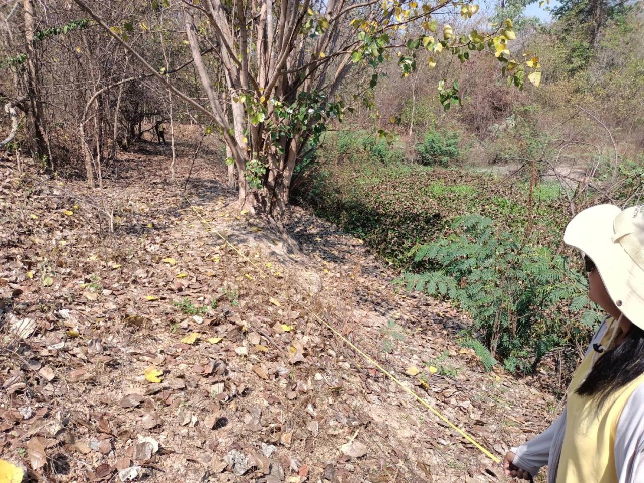 ภาพประกอบที่ 9